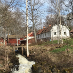 Smedlängan, vårflod från Dammsjön