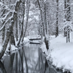 vinter_miljobild1