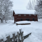 vinter_vedbodar