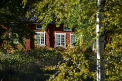 Timmerbyggningen