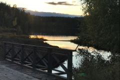 Vy över Dammsjön