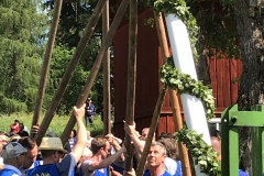 Stångresning